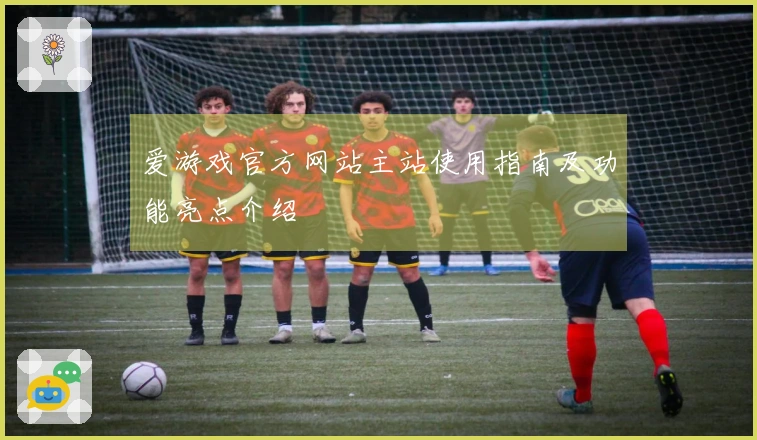爱游戏官方网站主站使用指南及功能亮点介绍